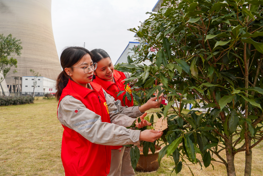 1678153945099085558.png 抚州.png