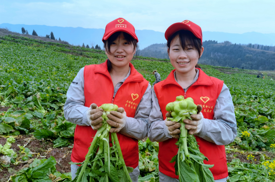 1678153966090086133.png 石柱发电公司 .png