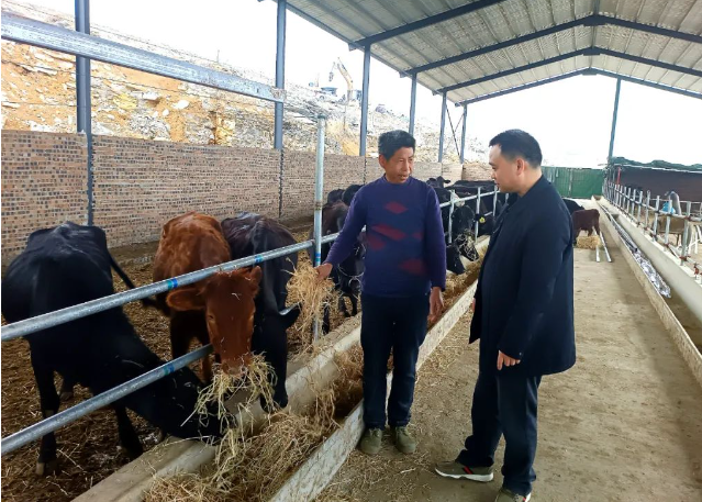 1690255469325017117.png 微信截图_20230725113716.png