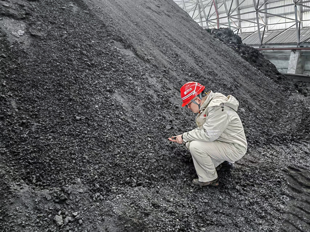 1708506562936037633.jpg 3-大唐东营发电公司职工查看煤炭煤质情况a.jpg