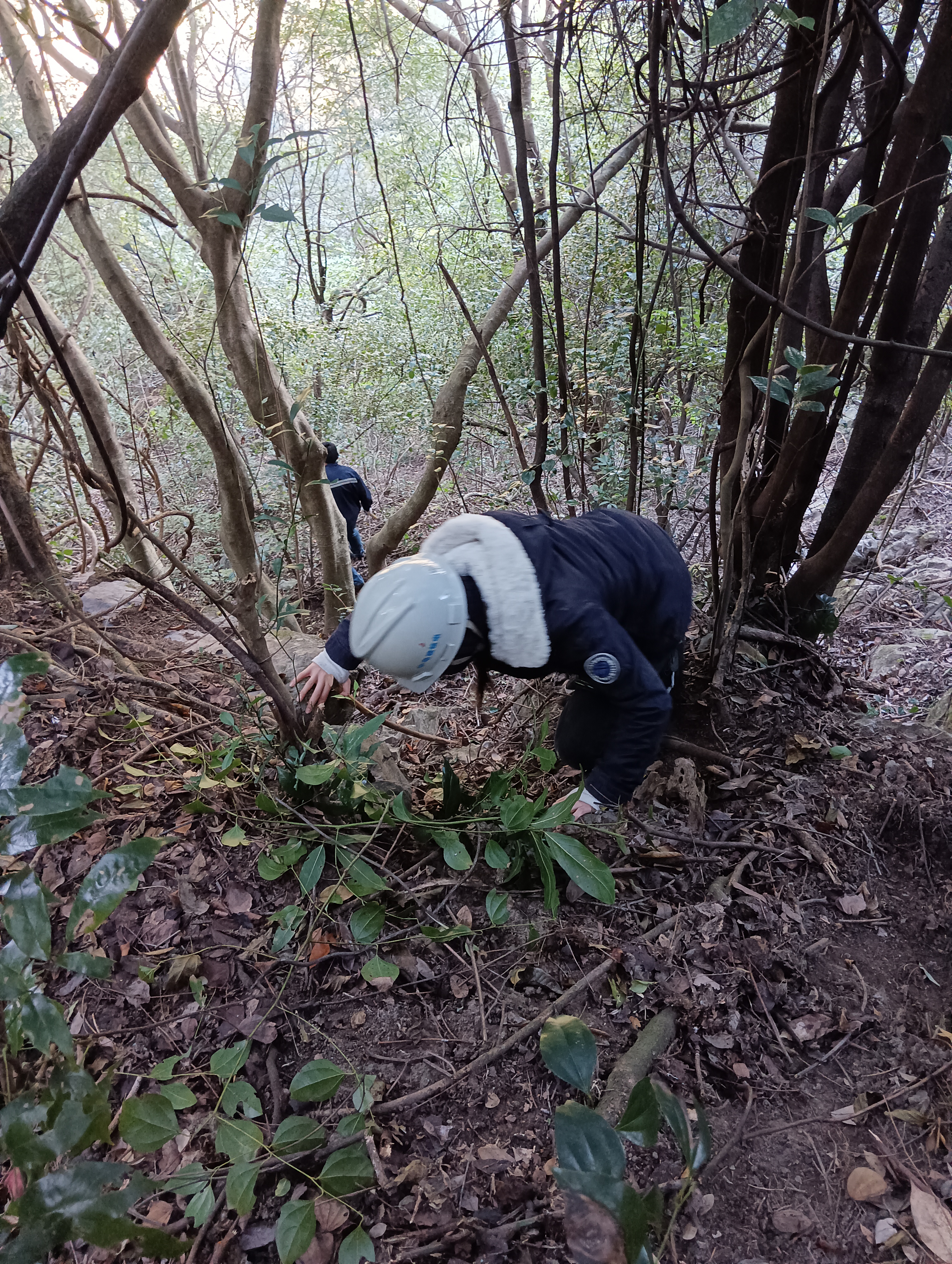 1719968036581058243.jpg 图4.jpg