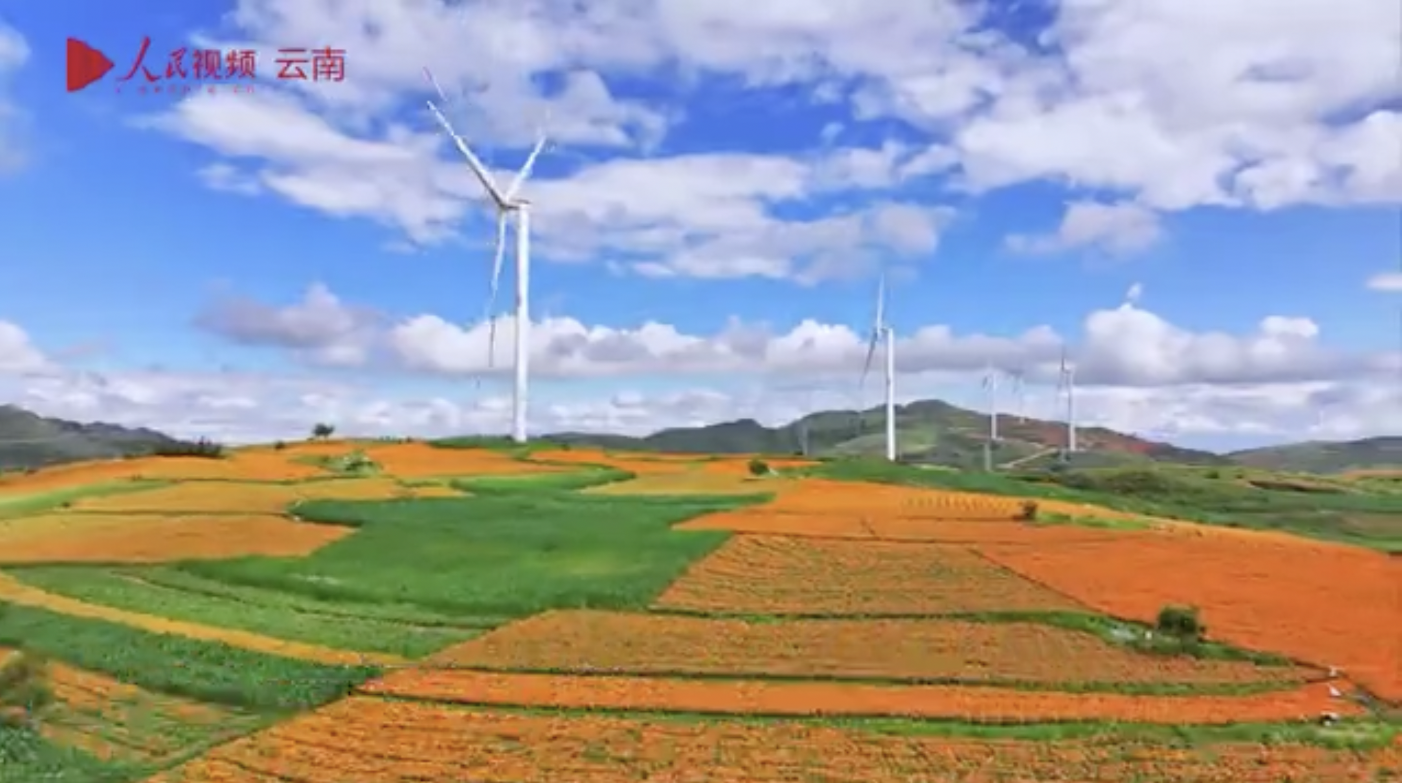 1728543836711064102.png 1.png