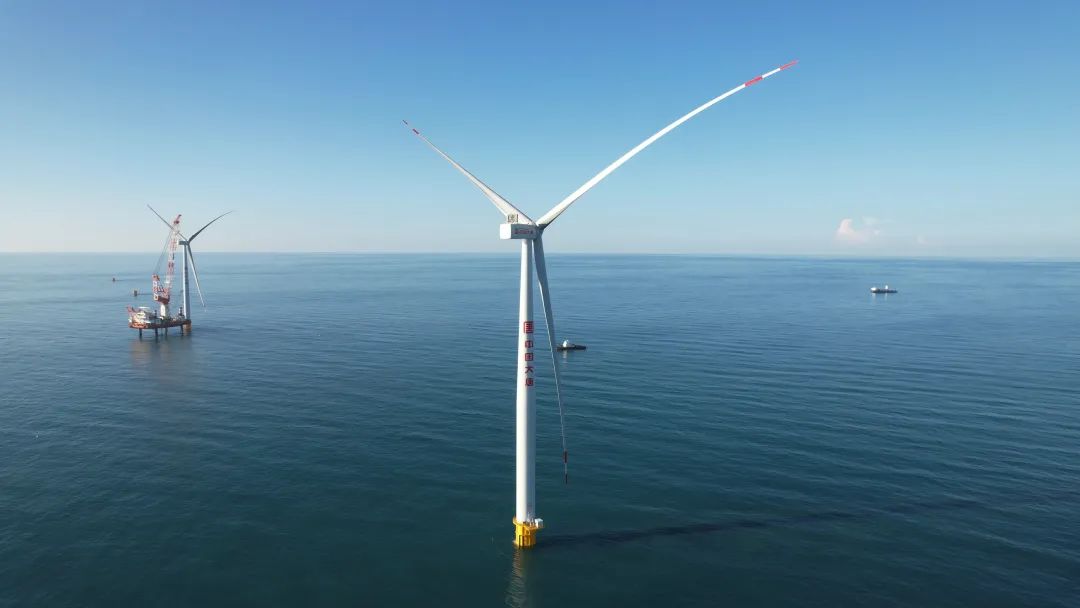 1730095746250010801.jpg Q.jpg