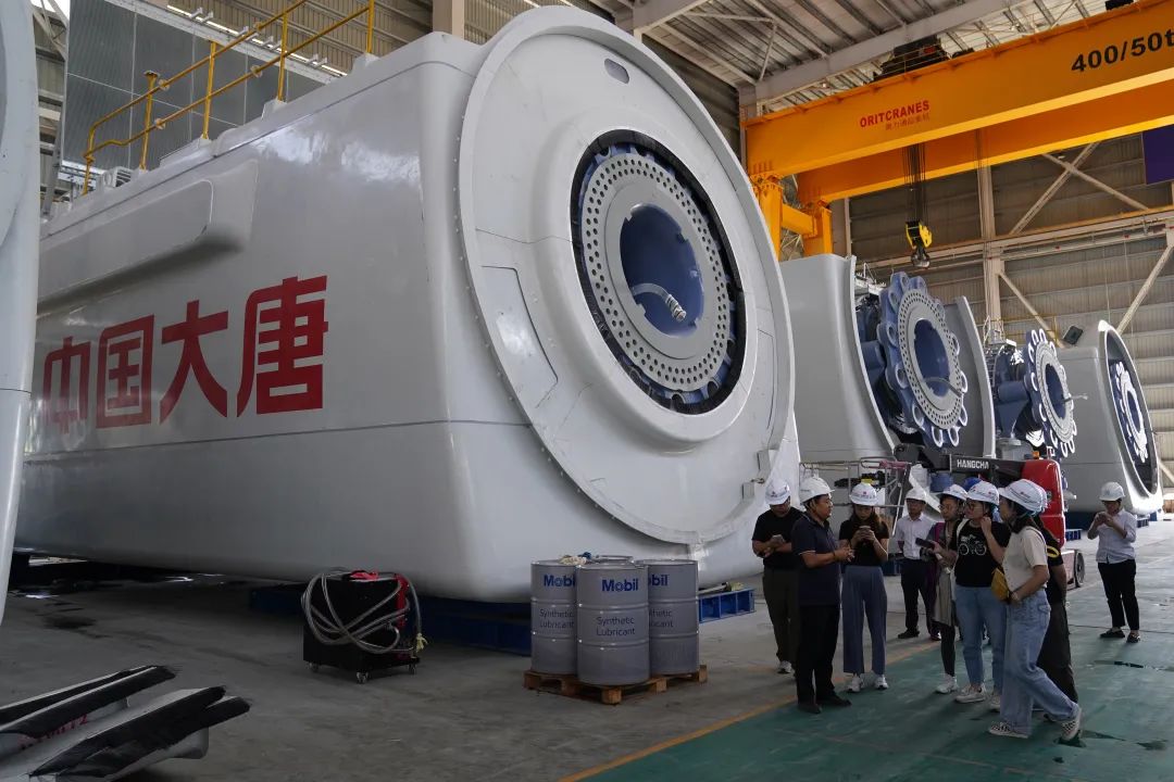 1730095939120030198.jpg R.jpg