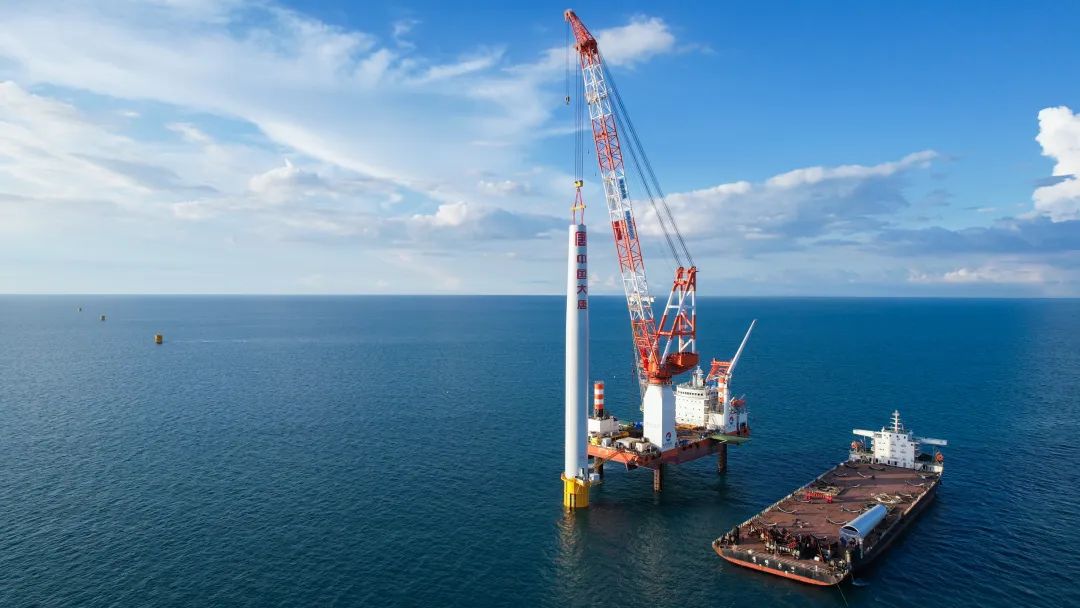 1730095967548077496.jpg T.jpg