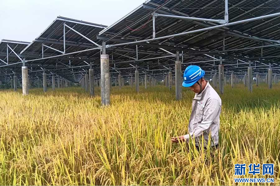 1730336627921055330.jpg 1.jpg