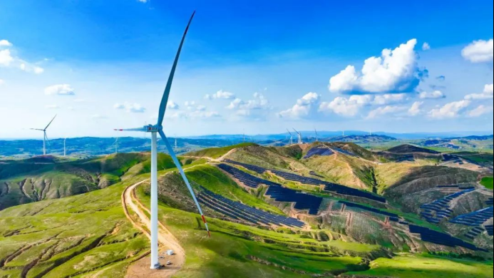 1731995522539038311.png 2_HS4X6O2P7RMYLXWYDXGWC.png