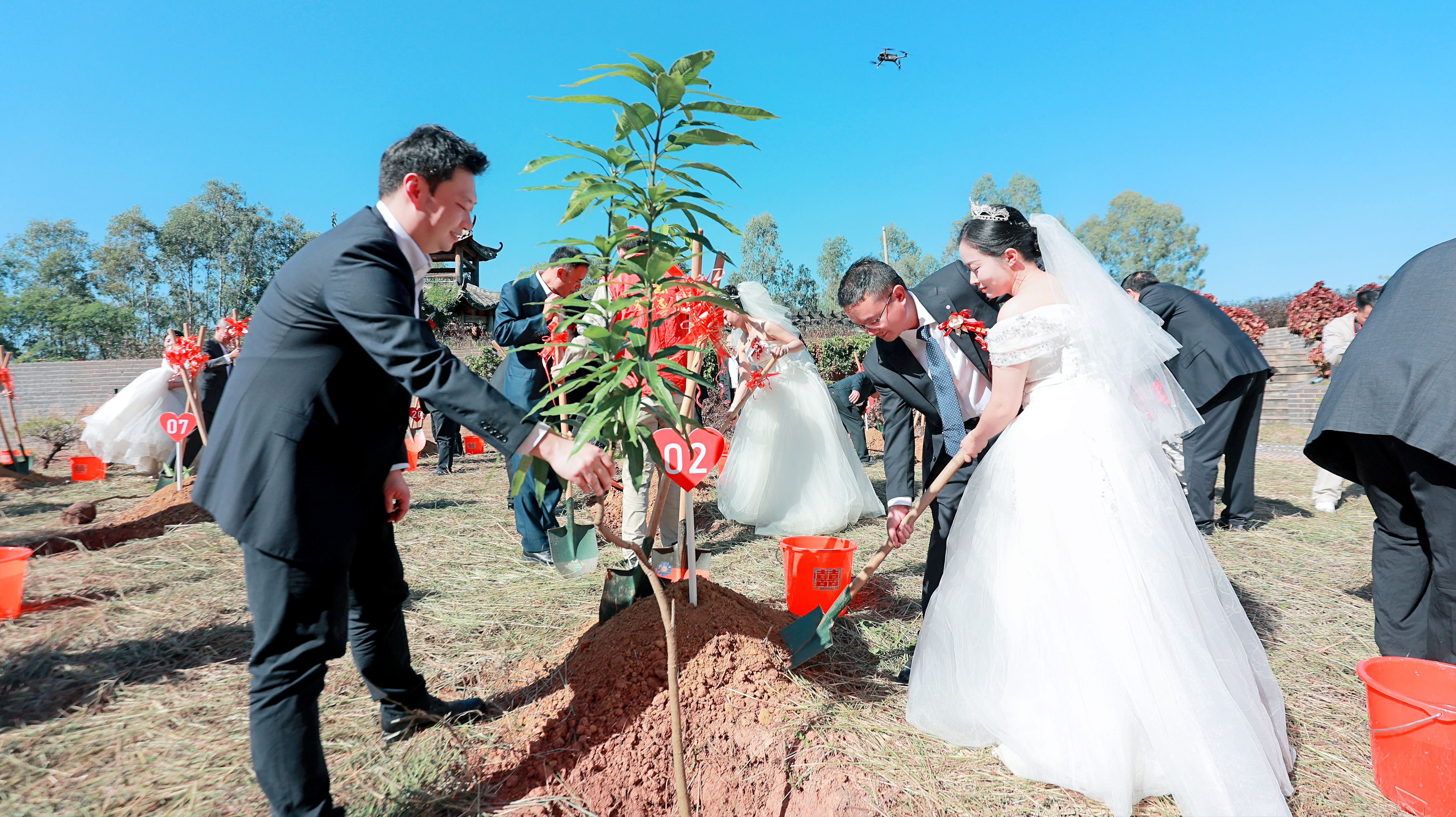 1732686840703093753.jpg Z_Z_6185.jpg